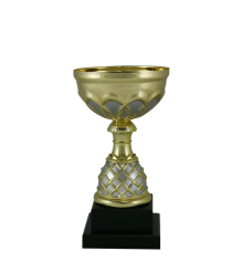 EC0053 Euro Cup - Venice 22cm