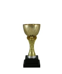 EC0064 Euro Cup - Modena 24cm