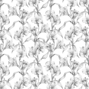 LILI072VL290C Lilies Charcoal Sheer 290cm