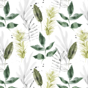 MOSS473VL300C Mossman Green Sheer 295cm