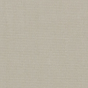 PLAI118UC140C Plain Flax Uncoated 140cm