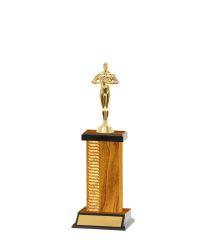  Pattern Trophy On P/Base <Br>19.5cm Plus Figurine