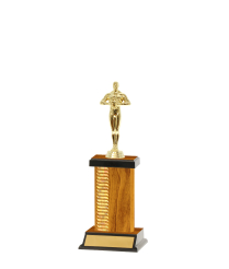 Pattern Trophy On P/Base <Br>17cm Plus Figurine