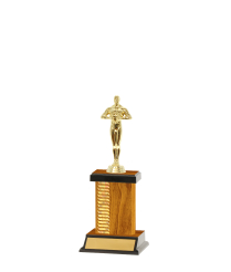  Pattern Trophy On P/Base <Br>14.5cm Plus Figurine