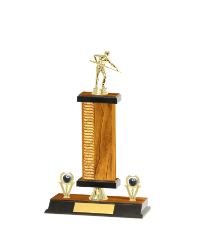  Pattern Trophy On P/Base <Br>26.5cm Plus Figurine