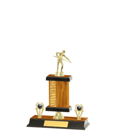  Pattern Trophy On P/Base <Br>19cm Plus Figurine