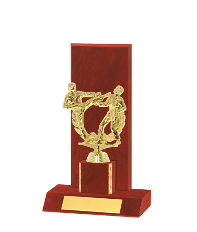  Curved Edged Trophy <Br>25.5cm