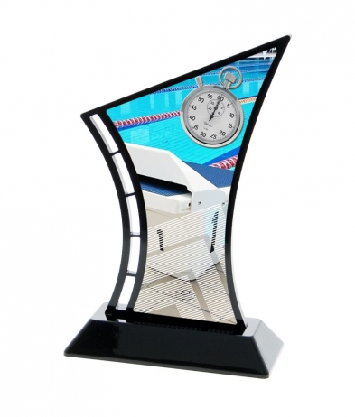  19.5cm Printed Swimming Acrylic Award