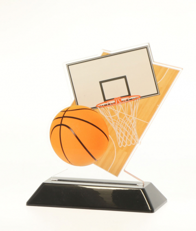 15.5cm Printed Basket Ball Acrylic Award