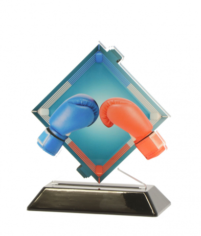  15.5cm Printed Boxing Acrylic Award