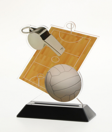  15.5cm Printed Netball Acrylic Award