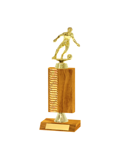  Pattern Trophy <Br>17.5cm Plus Figurine