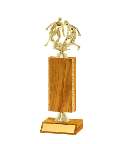 Gd Edged Trophy <Br>20.5cm Plus Figurine
