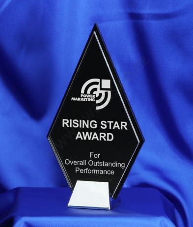  22cm Multi Layered Nickel Base Acrylic Award