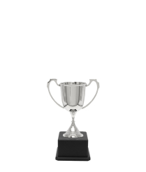  Nickel Sports Cup <Br>14.5cm Miniature Cup