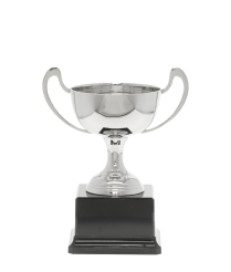  Champagne Nickel Cup 19.5cm