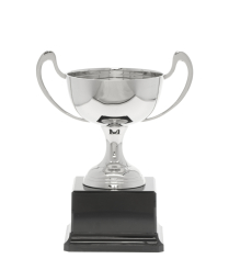  Champagne Nickel Cup 21cm