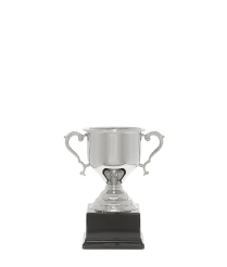  Challenge Nickel Cup 16.5cm