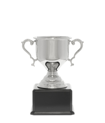  Challenge Nickel Cup 24cm