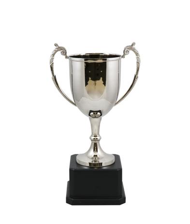  Sussex Nickel Cup 30cm