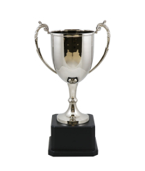 Sussex Nickel Cup 33.5cm
