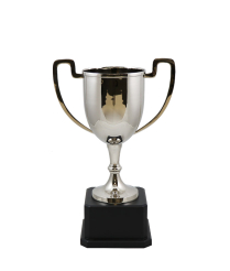  Dorset Nickel Cup 29.5cm