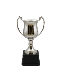  Cornwall Nickel Cup 28cm
