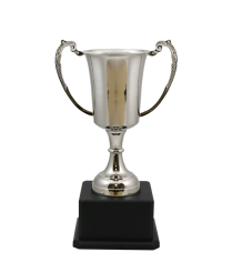  Kendal Nickel Cup 31.5cm
