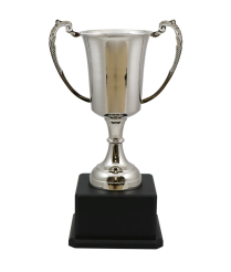  Kendal Nickel Cup 49cm