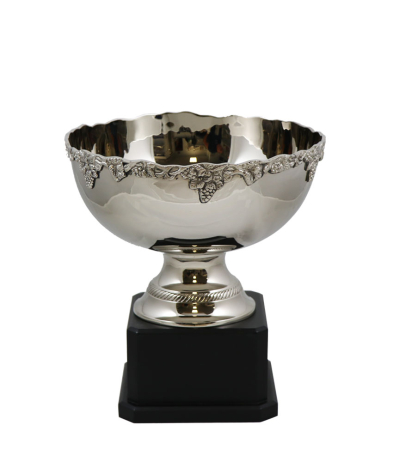  Newport Nickel Cup 29cm