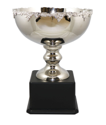  Newport Nickel Cup 45cm