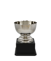  Richmond Nickel Cup 18cm