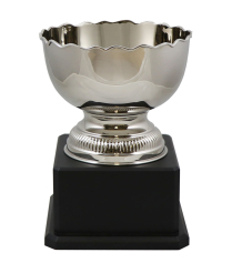  Richmond Nickel Cup 30cm