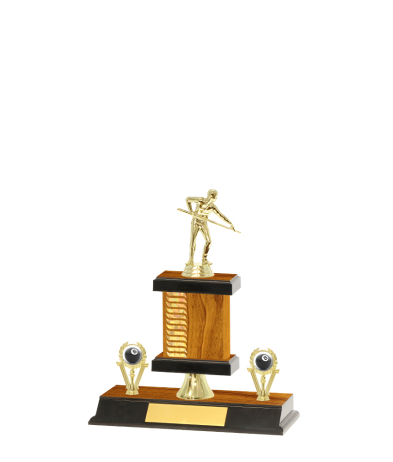  Pattern Trophy on P/Base <Br>16.5cm Plus Figurine