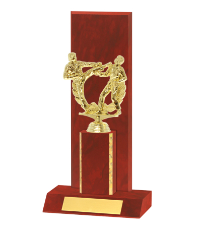  Curved Edged Trophy <Br>30.5cm