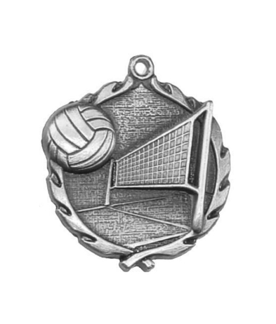 32030S Volleyball - Silver Medal 4.5cm Dia
