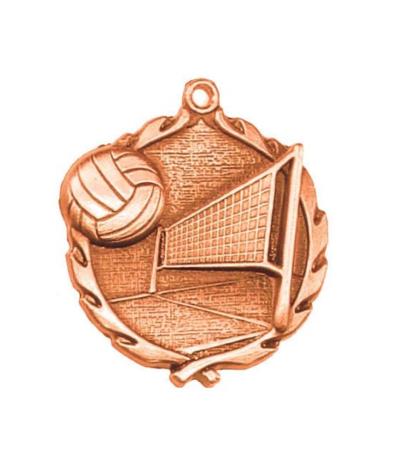 32030Z Volleyball - Bronze Medal 4.5cm Dia