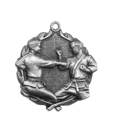 32100S Karate - Silver Medal 4.5cm Dia