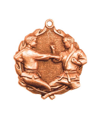 32100Z Karate - Bronze Medal 4.5cm Dia