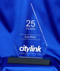 6031 20.5cm Acrylic Award (Triangle)