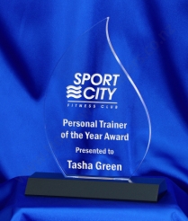 6041 20.5cm Acrylic Award (Flame)