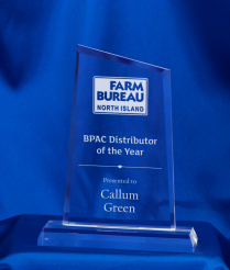 6052A 17.5cm Acrylic Award (Slope)