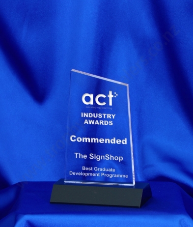 6053 14.5cm Acrylic Award (Slope)
