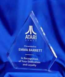 615 20.5cm Acrylic Award