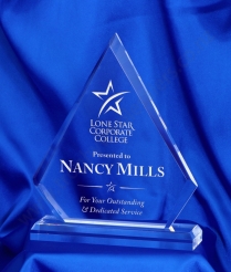 625 22cm Acrylic Award