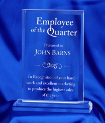 628 22cm Acrylic Award