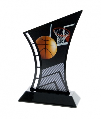 631BASK 19.5cm Printed Basketball Acrylic Award