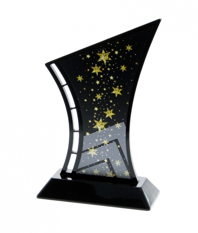 631STAR 19.5cm Printed Star Acrylic Award