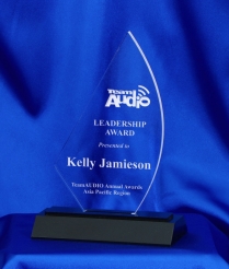 636 18cm Acrylic Award