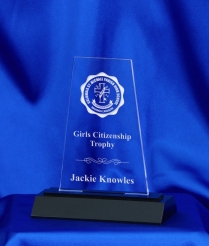 642 15.5cm Acrylic Award